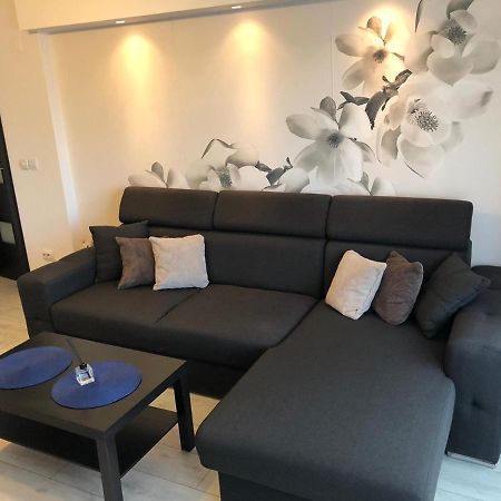 Apartament Modern Targoviste In Regim Hotelier Екстериор снимка